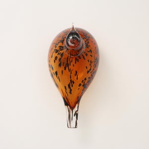 Birds Pekkasiini コッパーブラウン 0070