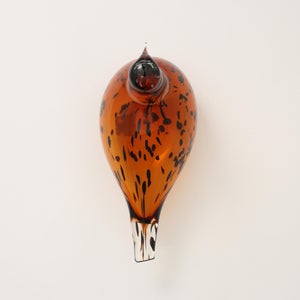 Birds Pekkasiini コッパーブラウン 0072