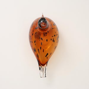 Birds Pekkasiini コッパーブラウン 0073