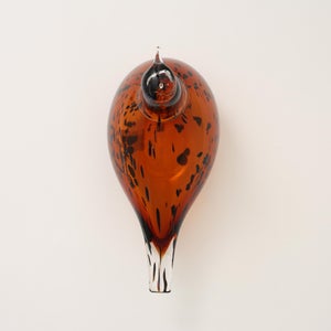 Birds Pekkasiini コッパーブラウン 0074