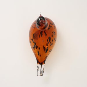 Birds Pekkasiini コッパーブラウン 0075