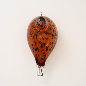 Birds Pekkasiini コッパーブラウン 0076