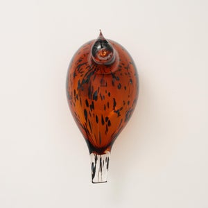 Birds Pekkasiini コッパーブラウン 0079