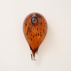 Birds Pekkasiini コッパーブラウン 0080