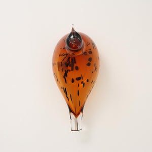 Birds Pekkasiini コッパーブラウン 0081