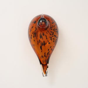 Birds Pekkasiini コッパーブラウン 0083