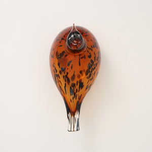 Birds Pekkasiini コッパーブラウン 0084