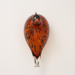 Birds Pekkasiini コッパーブラウン 0085