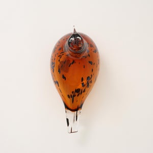 Birds Pekkasiini コッパーブラウン 0086