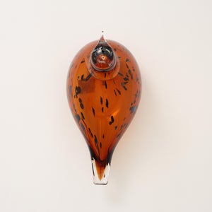 Birds Pekkasiini コッパーブラウン 0088