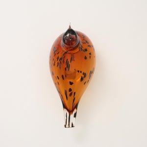 Birds Pekkasiini コッパーブラウン 0092