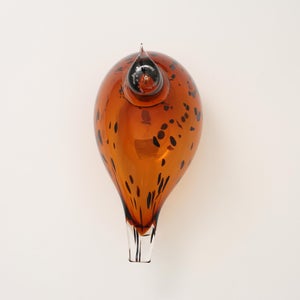 Birds Pekkasiini コッパーブラウン 0093