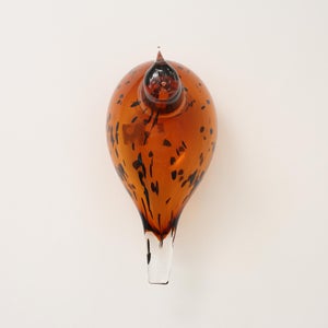 Birds Pekkasiini コッパーブラウン 0095