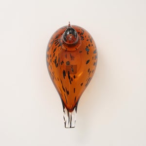 Birds Pekkasiini コッパーブラウン 0096