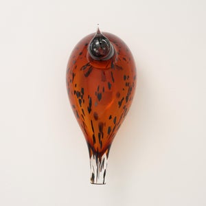 Birds Pekkasiini コッパーブラウン 0097