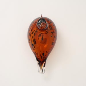 Birds Pekkasiini コッパーブラウン 0098