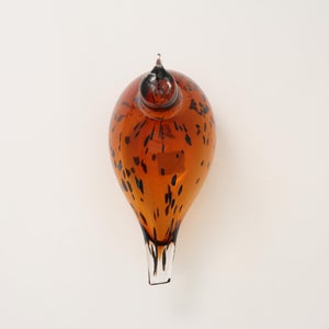 Birds Pekkasiini コッパーブラウン 0099