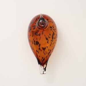 Birds Pekkasiini コッパーブラウン 0107