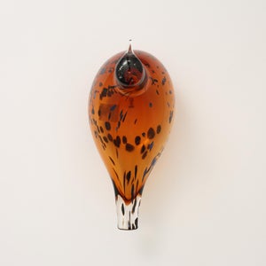 Birds Pekkasiini コッパーブラウン 0108