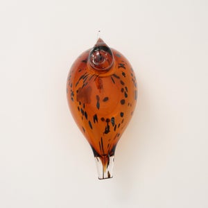 Birds Pekkasiini コッパーブラウン 0109