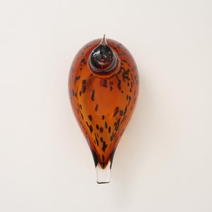 Birds Pekkasiini コッパーブラウン 0111