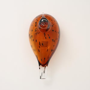 Birds Pekkasiini コッパーブラウン 0112