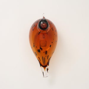 Birds Pekkasiini コッパーブラウン 0116