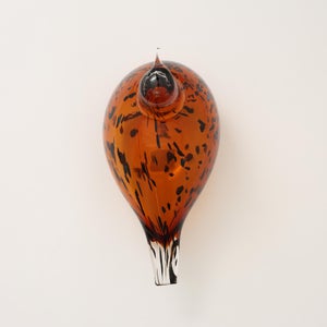 Birds Pekkasiini コッパーブラウン 0118