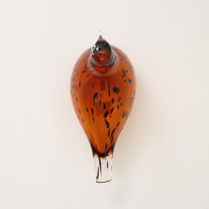 Birds Pekkasiini コッパーブラウン 0119