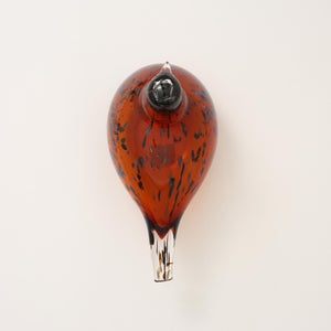 Birds Pekkasiini コッパーブラウン 0124