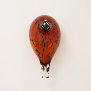 Birds Pekkasiini コッパーブラウン 0129