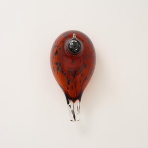 Birds Pekkasiini コッパーブラウン 0142