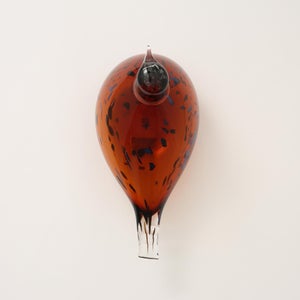 Birds Pekkasiini コッパーブラウン 0143