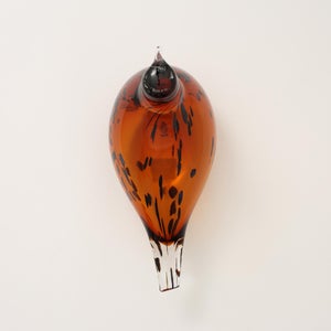 Birds Pekkasiini コッパーブラウン 0145