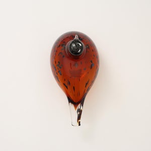 Birds Pekkasiini コッパーブラウン 0148