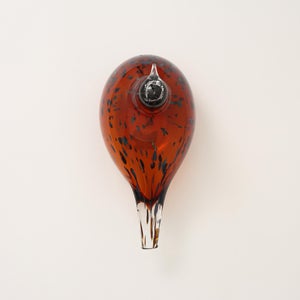 Birds Pekkasiini コッパーブラウン 0149