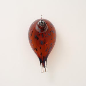 Birds Pekkasiini コッパーブラウン 0152