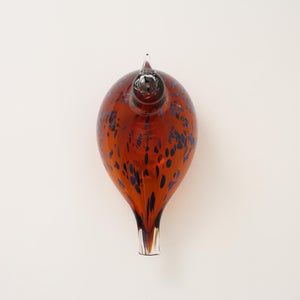 Birds Pekkasiini コッパーブラウン 0156