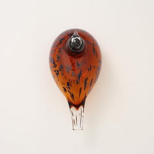 Birds Pekkasiini コッパーブラウン 0160