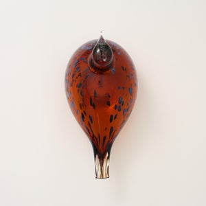 Birds Pekkasiini コッパーブラウン 0162