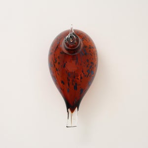 Birds Pekkasiini コッパーブラウン 0170