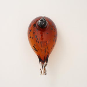 Birds Pekkasiini コッパーブラウン 0175