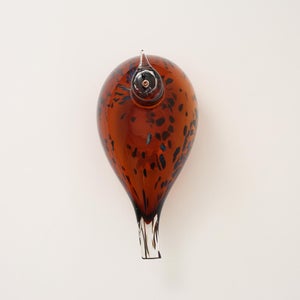 Birds Pekkasiini コッパーブラウン 0178