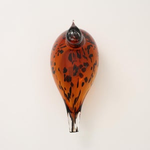 Birds Pekkasiini コッパーブラウン 0181