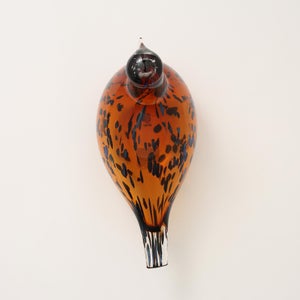 Birds Pekkasiini コッパーブラウン 0182