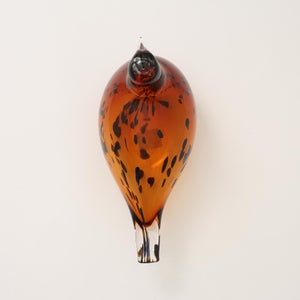 Birds Pekkasiini コッパーブラウン 0183