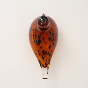 Birds Pekkasiini コッパーブラウン 0184