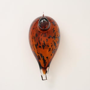 Birds Pekkasiini コッパーブラウン 0186