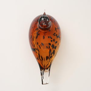 Birds Pekkasiini コッパーブラウン 0187