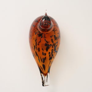 Birds Pekkasiini コッパーブラウン 0188